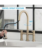 Streamdale Furniture Double Handle Bridge Kitchen Faucet With Pull-Down Spray Head