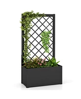Skonyon 44 Inch Metal Raised Garden Bed with Trellis-Black