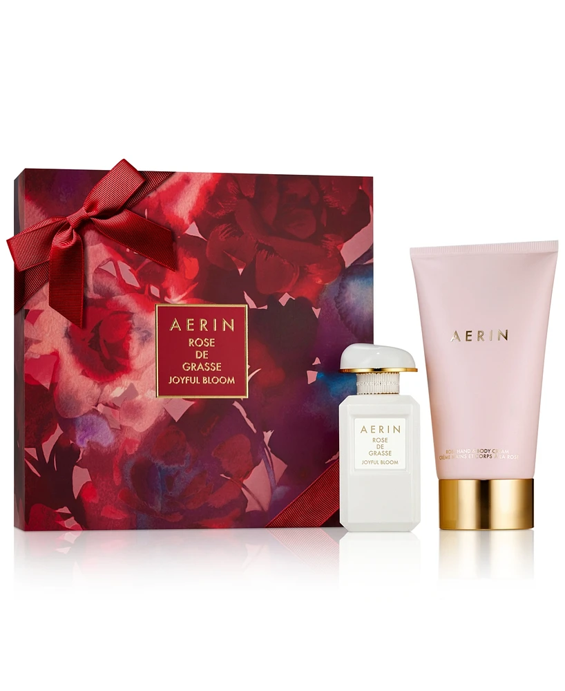 Aerin 2