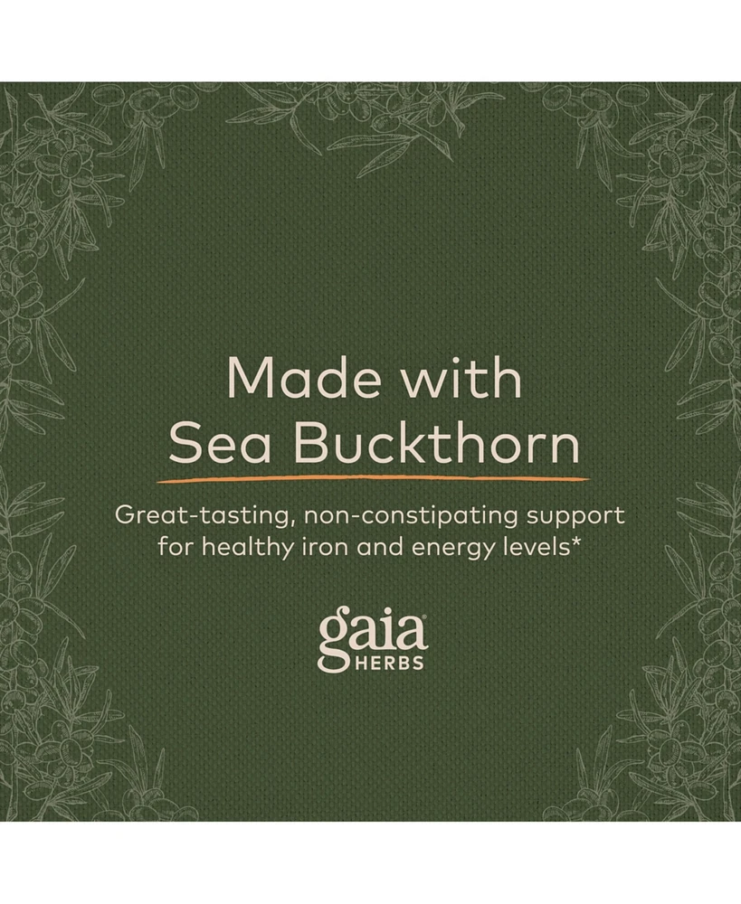 Gaia Herbs Plant Force Liquid Iron - Vegetarian Iron Supplement to Help Maintain Healthy Iron & Energy Levels