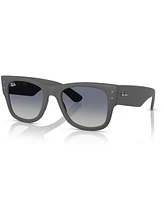 Ray-Ban Men's and Women's Sunglasses RB4840S