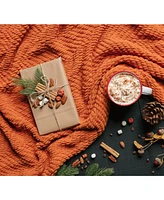 Chanasya Premium Textured Knit Throw Blanket with Tassels - Soft, Cozy for Couch, Bed