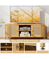 Skonyon Boho Tv Stand for Tv up to 55 Inches with Faux Rattan Door-Natural