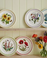 Portmeirion Botanic Garden Meadow Assorted Dinner Plates, Set of 6