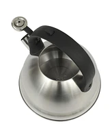 Mr. Coffee Armidale Large 2.5QT Brushed Stainless Steel Whistling Tea Kettle