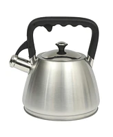 Mr. Coffee Armidale Large 2.5QT Brushed Stainless Steel Whistling Tea Kettle