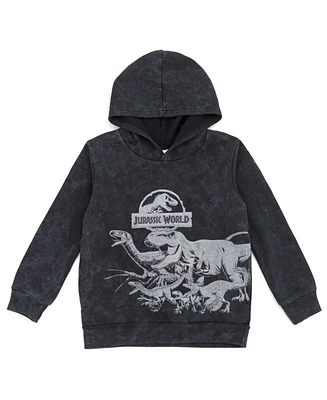 Jurassic World Toddler Boys Dinosaur T-Rex Fleece Pullover Hoodie to