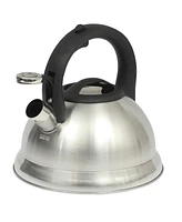 Mr. Coffee Hartbay Large 2.4 Quart Stainless Steel Whistling Tea Kettle