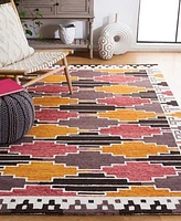 Safavieh Rodeo Drive Iv Rd913z Rug Collection