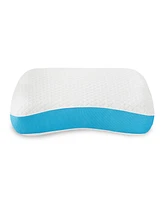 ProSleep Side and Back Sleeper Gel-Infused Memory Foam Pillow, Jumbo