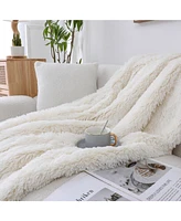 Kate Aurora Oversized Soft & Plush Throw, 50" x 70"