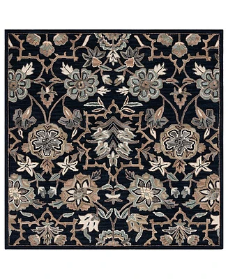 Safavieh Metro Ii MET325Z 6'x6' Square Area Rug