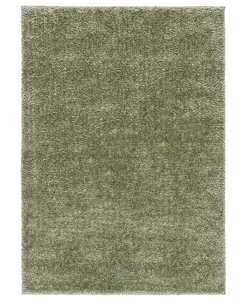 Safavieh Tahoe Shag THO670W 6'7"x8'7" Area Rug