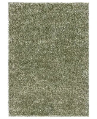 Safavieh Tahoe Shag THO670W 5'x7' Area Rug