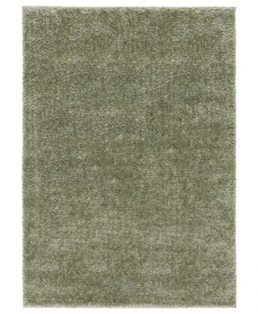 Safavieh Tahoe Shag Tho670w Rug Collection