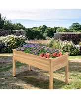 Wooden Raised Vegetable Garden Bed Elevated Grow Vegetable Planter
