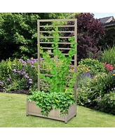 Sugift Raised Garden Bed with Trellis for Climbing Plants