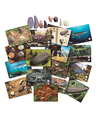 Yellow Door Sensory Prehistoric Teeth Stones and Activity Cards Set