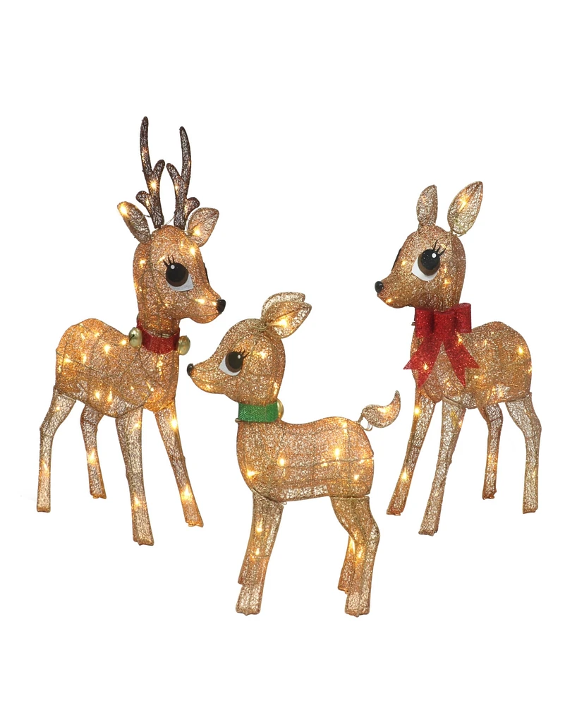 Puleo 18" Lighted Outdoor Wire Frame Deer Set, 3 Piece