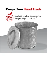 Amici Home Newport Galvanized Metal Canister