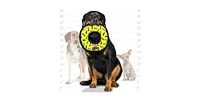 Tuffy Ultimate Ring Yellow & 3 Way Tug Red-Combo Pack, Durable Dog Toys