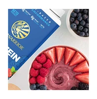 Sunwarrior Warrior Blend Protein, Plant-Based Organic Protein Powder, Berry, Sunwarrior, 750gm