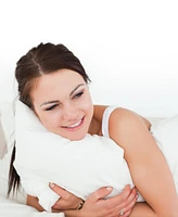 Cheer Collection 2-Pack Pillow Insert