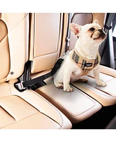 Co-Pilot Dog Seat Belt, Car Harness for Dogs, Adjustable Safety Leash Pet Seatbelt, Durable, Made of Nylon
