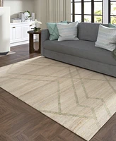 Lr Home Xanda Wil-575 2'x3' Area Rug