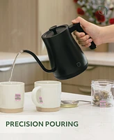 Willow Kitchen Digital Gooseneck Kettle with 5 Temperature Presets - Precision Heating Pouring for Perfect Brews