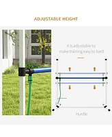 3 Piece Dog Agility Training Equipment Set, Dog Agility Set with Adjustable Height Hurdles, Spray Water Tube, Whistle, Carry Bag, White