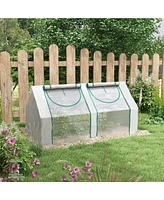 Streamdale Furniture 6' x 3' x 3' Portable Greenhouse, Garden Green House with 2 Pe/Plastic Covers, Steel Frame and 2 Roll Up Windows, Clear