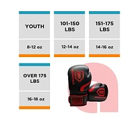 Invincible Fight Gear Hook and Loop Leather Training Boxing Gloves with Usa Flag Colors