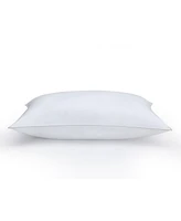 Claritin Ultimate Allergen Barrier Medium Density Pillow