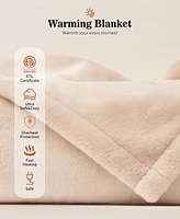 Sealy Heated Flannel Electric Blanket, Full