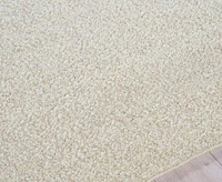 Exquisite Rugs Ferretti 5752 Rug Collection