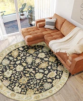 Dalyn Hatay HY2 8'x8' Round Area Rug