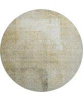 Dalyn Trevi Washable TV5 8'x8' Round Area Rug