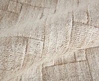 Feizy Redford 8669F 5'x8' Area Rug