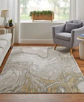 Feizy Waldor 3602f Rug Collection