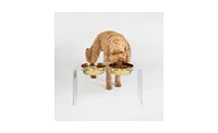 Hiddin Large Clear Double Pet Bowl Feeder with Gold Bowls