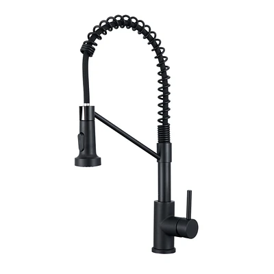 Flynama Single Hole Single-Handle Pull-Down Sprayer Kitchen Faucet In Matte Black