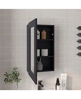 Depot E-Shop Kiana Medicine Cabinet, 1 Door, 3 Shelves, 25.70" H, Mirror, Black Wengue