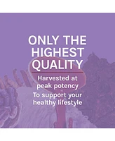 Host Defense Mushrooms Lion's Mane - Brain Health Support Supplement - Mushroom Supplement to Support Focus & Memory Function