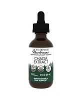Host Defense Chaga Extract - Immune System Support Supplement