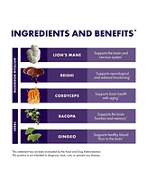 Host Defense MycoBotanicals Brain Capsules - Brain Support Supplement with Lion's Mane, Reishi & Cordyceps Mushroom