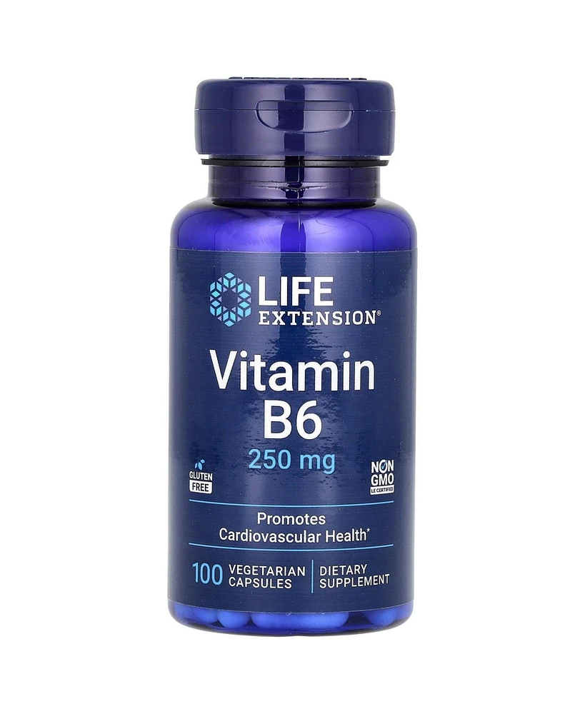 Life Extension Vitamin B6 250 mg