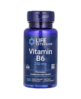 Life Extension Vitamin B6 250 mg