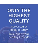 Host Defense Stamets 7 Mushroom Powder