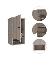 Depot E-Shop Arya Medicine Single Door Cabinet, One Shelf, Two Interior Shelves, Light Gray